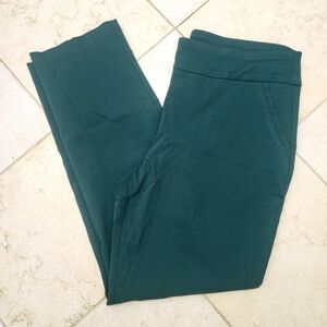 Womens ALLISON DALEY Strechy Green Straight Leg Comfy Slacks Strechy Sz 14